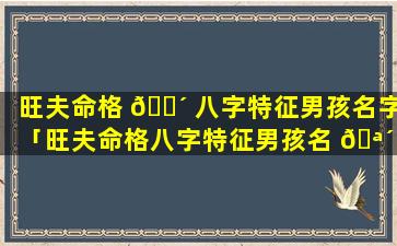 旺夫命格 🐴 八字特征男孩名字「旺夫命格八字特征男孩名 🪴 字怎么取」